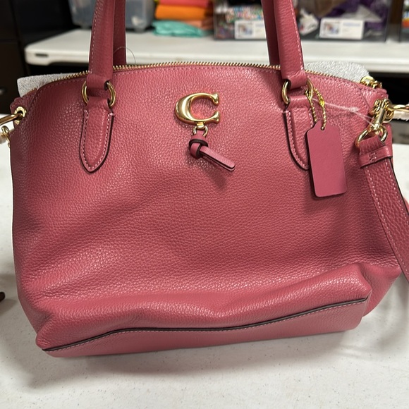 Coach crossbody or handbag new - Picture 2 of 7